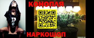 спиды Будённовск