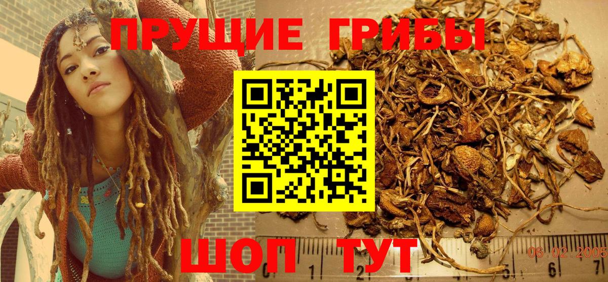 Галлюциногенные грибы Magic Shrooms Унеча