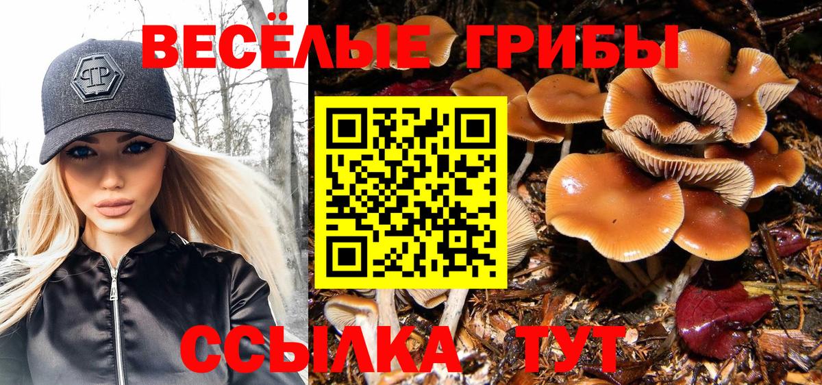Галлюциногенные грибы Psilocybe  Вход с VPN  Унеча 